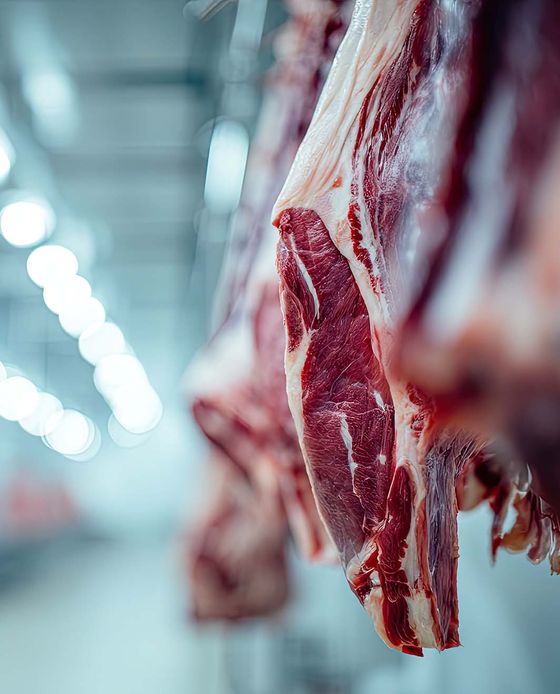 Commerce de Gros de Viande