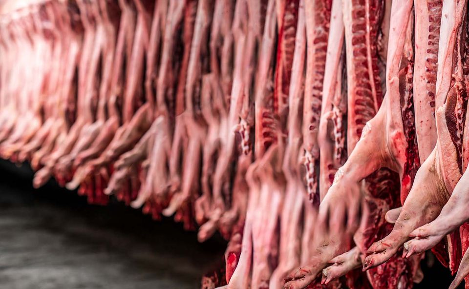 Deep Market Knowledge and European Reach